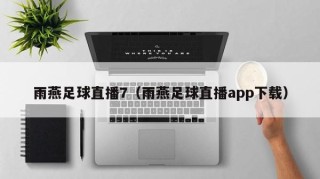 雨燕足球直播7（雨燕足球直播app下载）